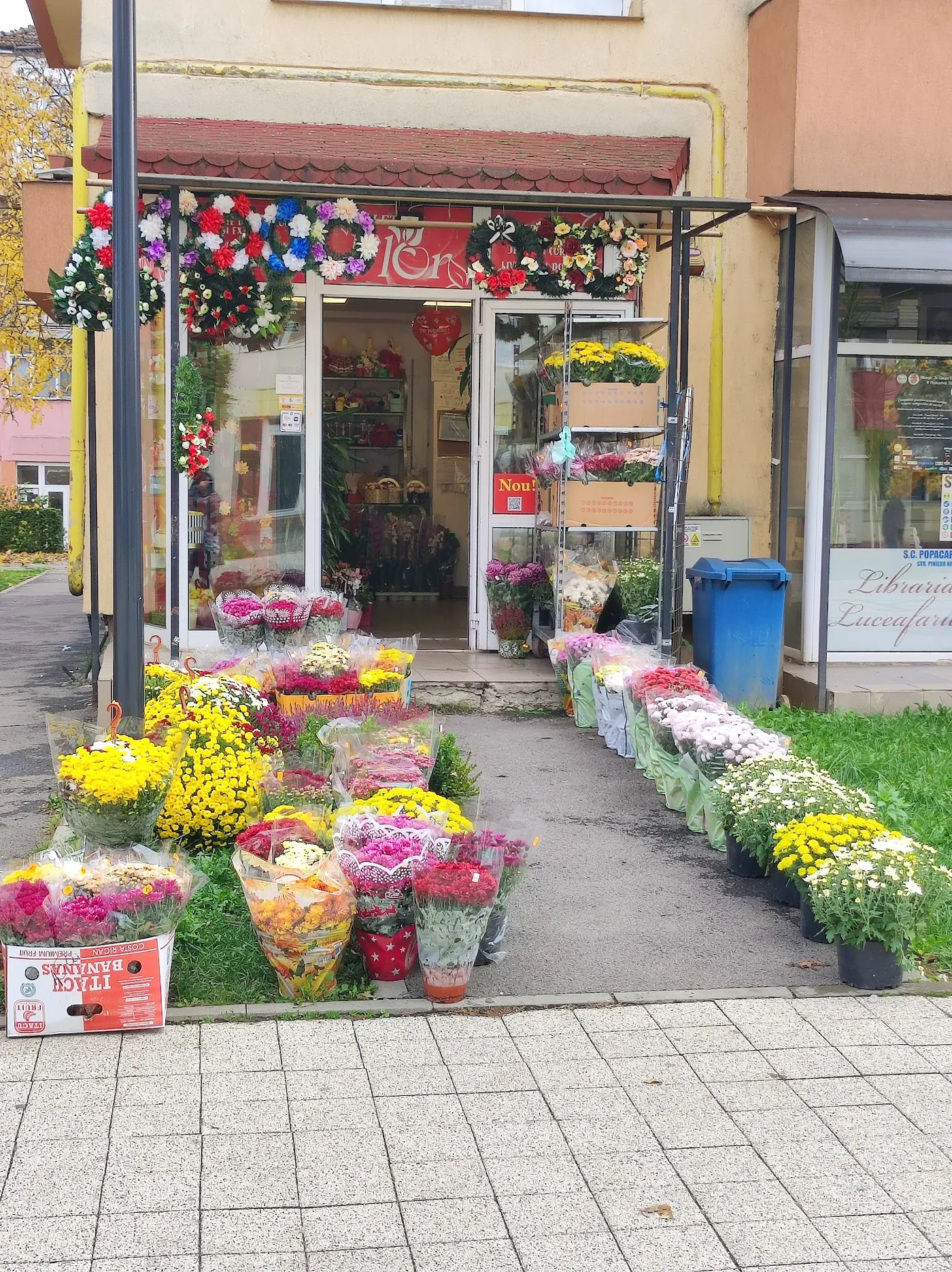 Intrarea florăriei Paleta Flor de pe zona pietonală din Hunedoara