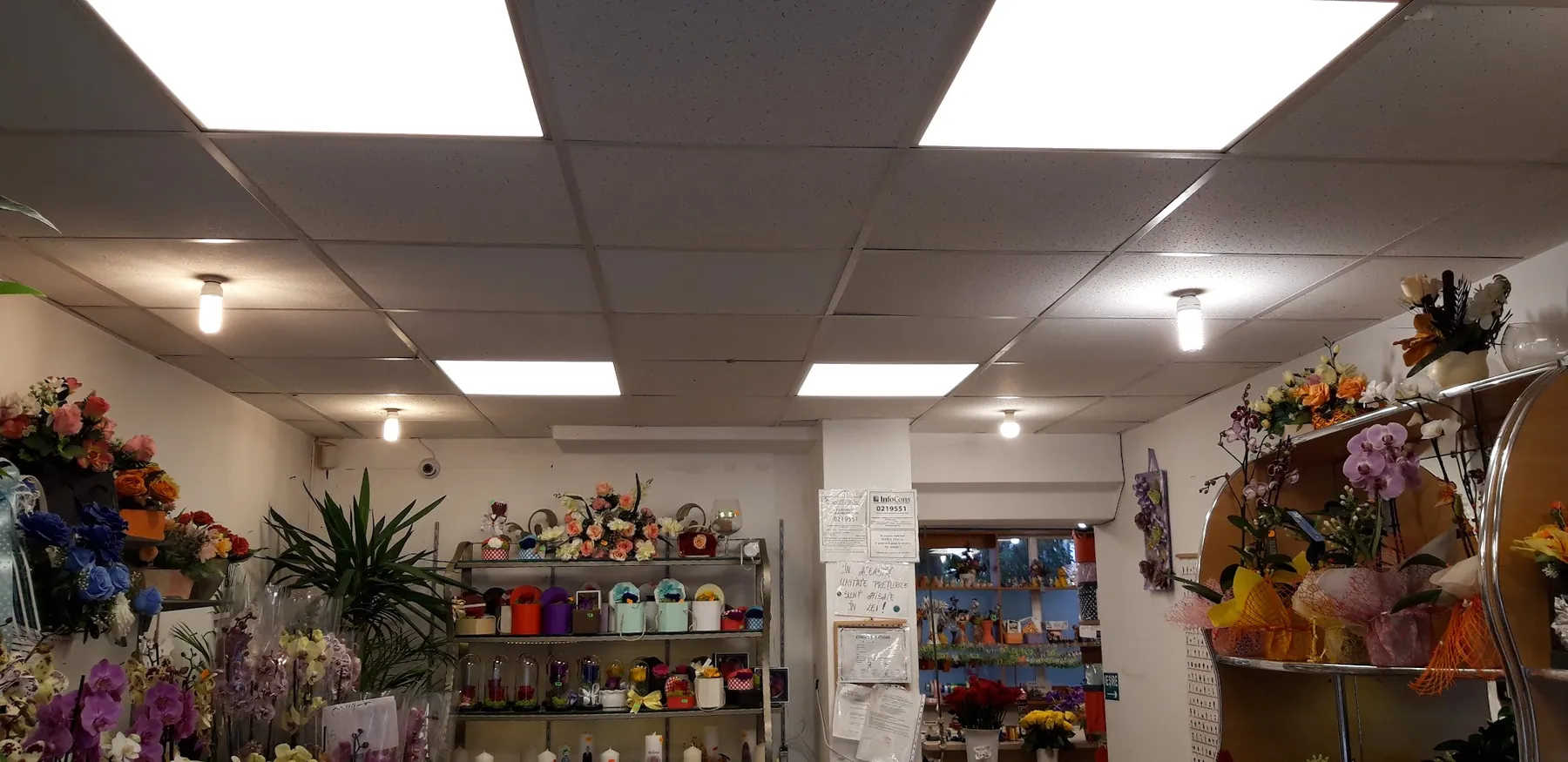 Interiorul florăriei Paleta Flor