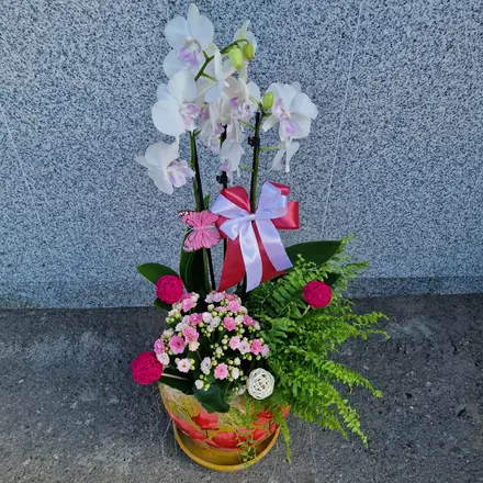 Aranjament ghiveci ceramic just Pink