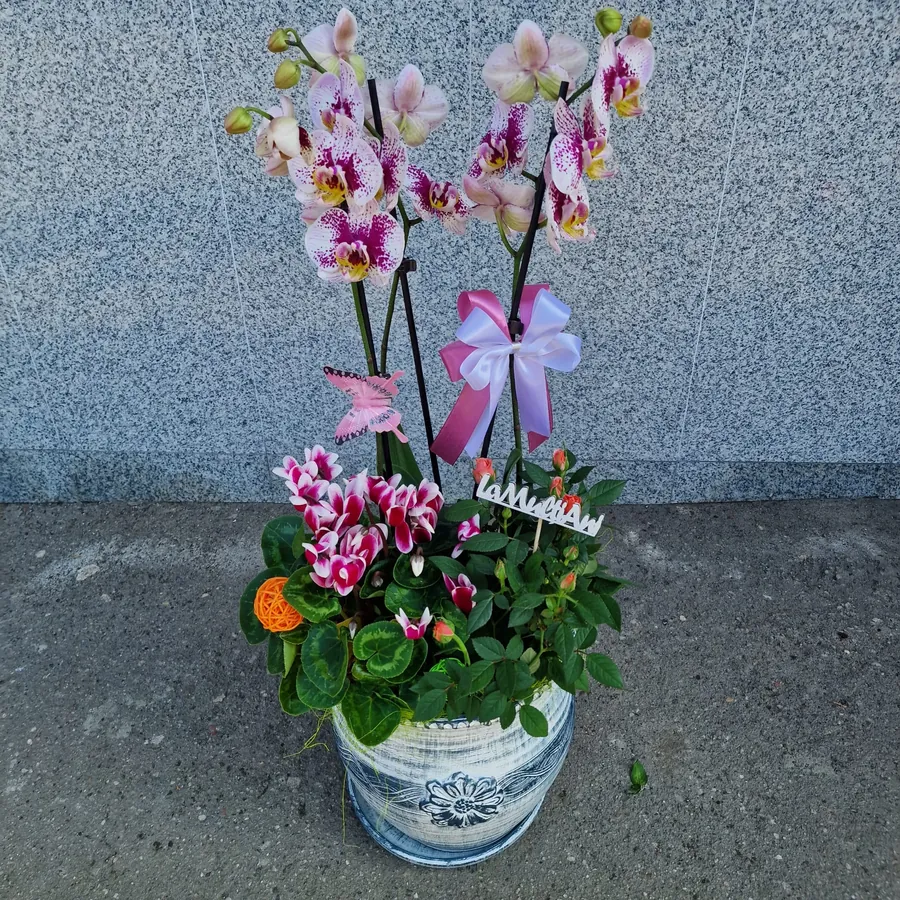 Aranjament ghiveci ceramic Purple Sensation