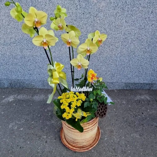 Aranjament ghiveci ceramic Yellow Sensation